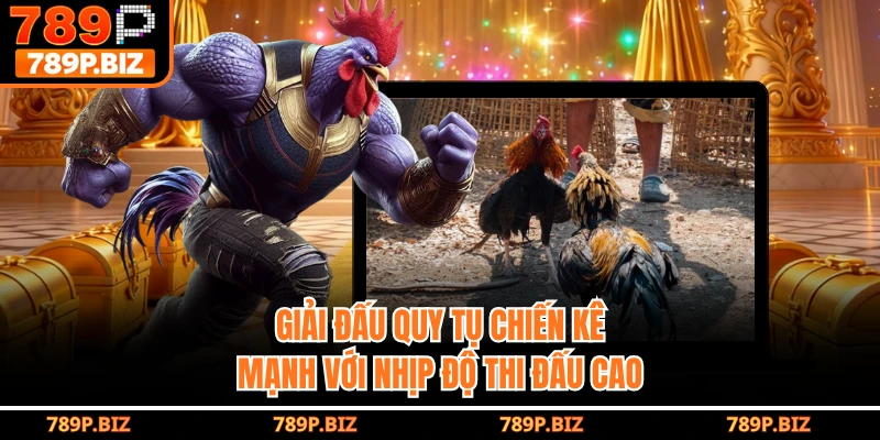 Giải đấu quy tụ chiến kê mạnh với nhịp độ thi đấu cao